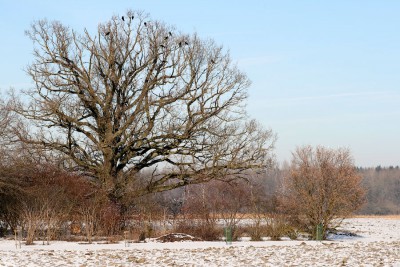 Spazierweg(2).jpg