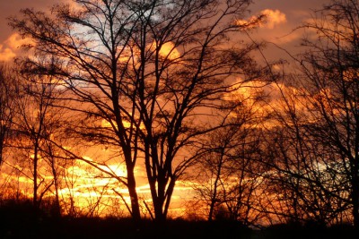 Feuerhimmel_P1080801_2_900x600.jpg
