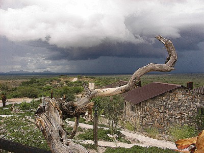 Oitjowarongo_Regen.jpg