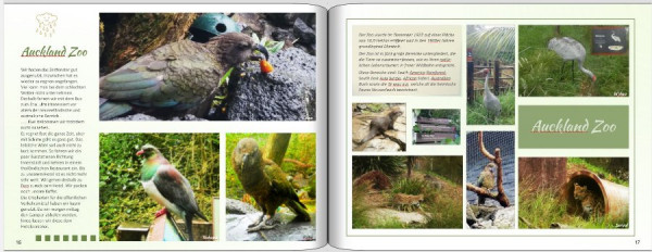 auckland Zoo3.JPG