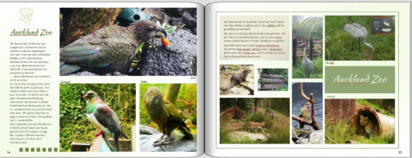 Auckland Zoo2.JPG (103.98 KiB) 8069 mal betrachtet Auckland Zoo2.JPG