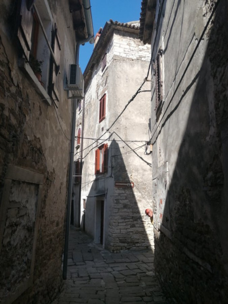 IMG_20230819_095441.jpg