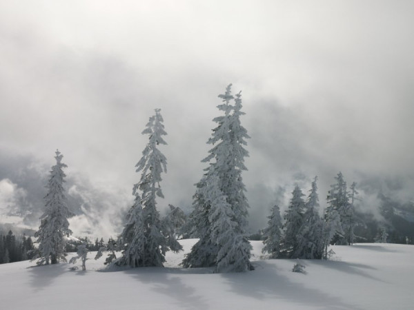 IMG_20220118_121700.jpg