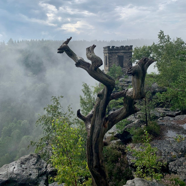 2021-08-06_Elbsandstein.jpg