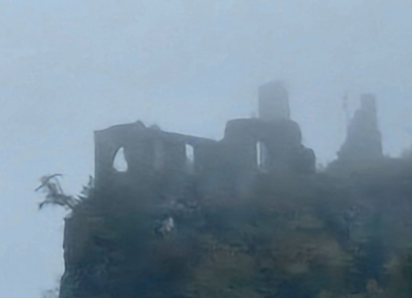 20241015_133049.jpg