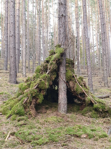 20221029_154411.jpg