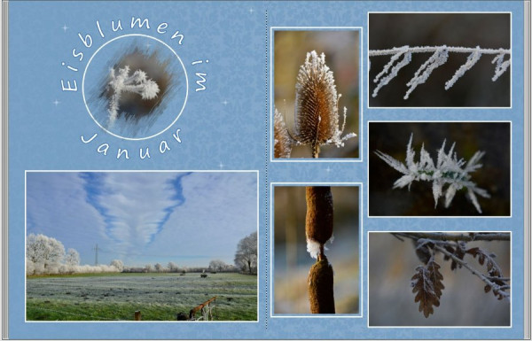 Winter Januar.jpg