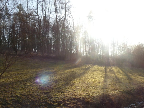 Frühling_1.jpg