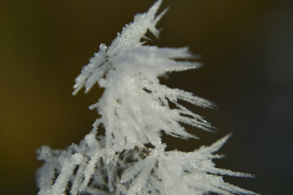 Winter (14).JPG