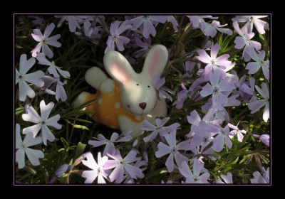 Osterhase.jpg