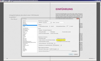 Transparenzraster.JPG