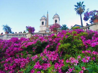 2013-Rom-20130506-6.jpg