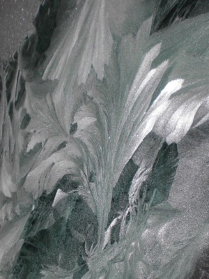 CIMG2102-Eis-Feb2010.jpg