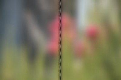 weich2.jpg