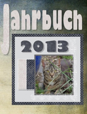 Cover_2013.jpg