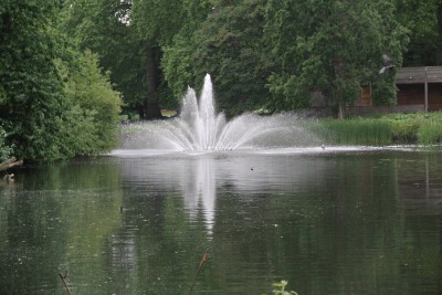 Nikon1 F4 BZ250 ISO140 BW43.JPG