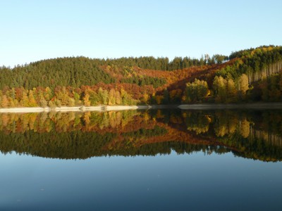 Hennesee.JPG
