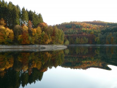 Hennesee (3).JPG