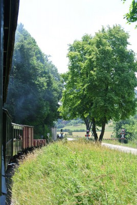 Nikon1 F5 BZ200 ISO100 BW23.JPG