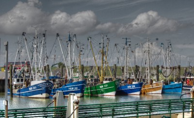 Hafen.jpg