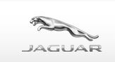Jaguar.JPG