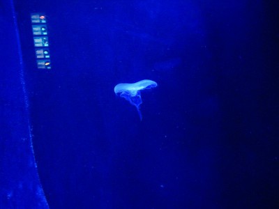 IMG_5119 (Andere).JPG