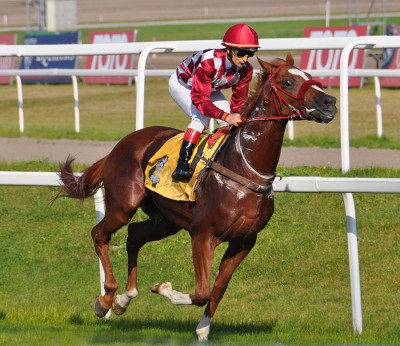 2009-Magna Racino-20080926_33.JPG