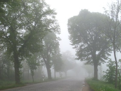 nebel.JPG