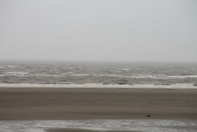 IMG_2399 (Andere).JPG