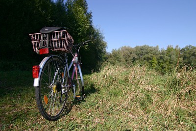 Fahrrad.jpg