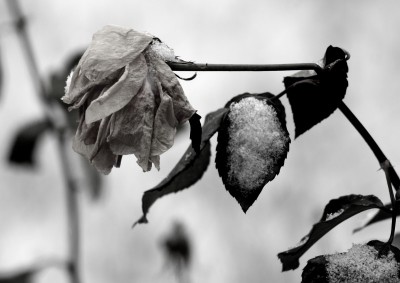 IMG_1116 (Andere).JPG