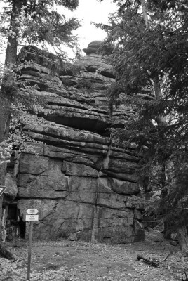 Nikon1 F3.5 BZ 80 ISo100 BW10.jpg