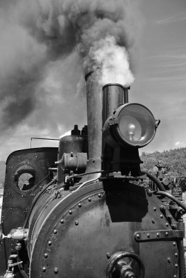 Nikon1 F4 BZ320 ISo100 BW10.JPG