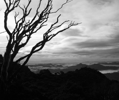 Canon ixus 80 F8,BZ500, BW6.JPG