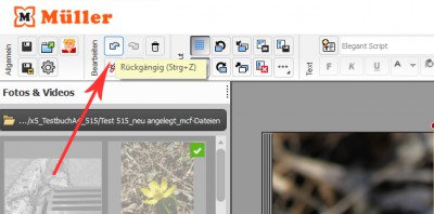 Aktion zurücknehmen.jpg