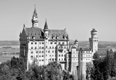 Nikon1 F5 BZ500 ISO100 BW22.jpg