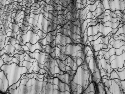 2015-01-06_19 Sigmertshausen_sw.JPG