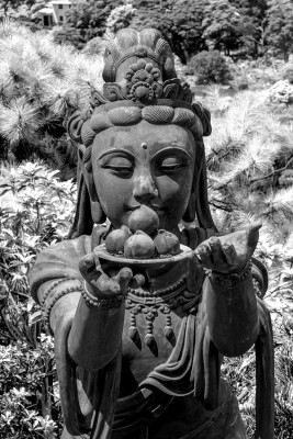 Canon EOS F11 BZ125 ISO160 BW100.jpg