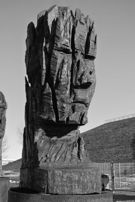 Nikon1 f 4.8 BZ250 ISo100 BW20.JPG