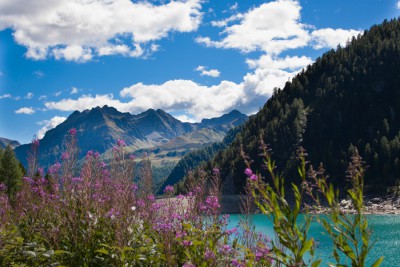 Canon EOS 50D201309031500490001-4.jpg