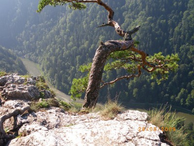 IMGP0157 - Kopie.JPG