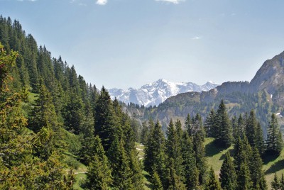 Nikon1 F5.6 BZ250 ISO110 BW30.JPG