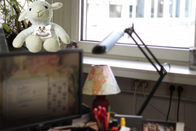 Verstecktes Schaf.jpg