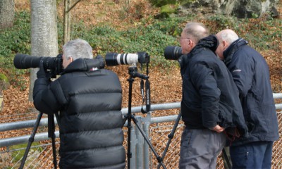 DSC03482 (2) Kopie.jpg