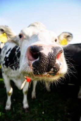 _DSC8377 (Large).jpg