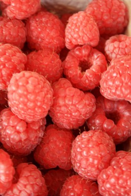 Himbeeren.JPG
