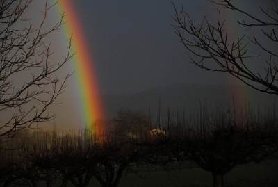 DSC_1019 (800x537) (640x430).jpg