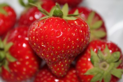 Erdbeeren1.jpg