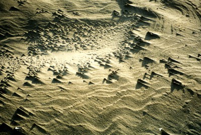 1994_09 USA Washington Nature Art.jpg