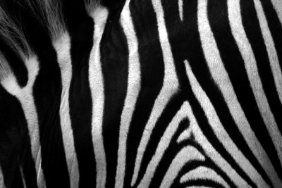 Formen & Muster 2.jpg